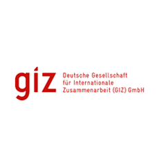 GIZ Logo